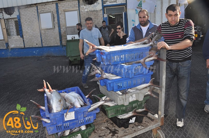 samak antayasa (23).JPG